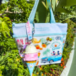 東京ディズニーランド「SUNNY SUNNY Summer2025」スーベニアランチケース5
