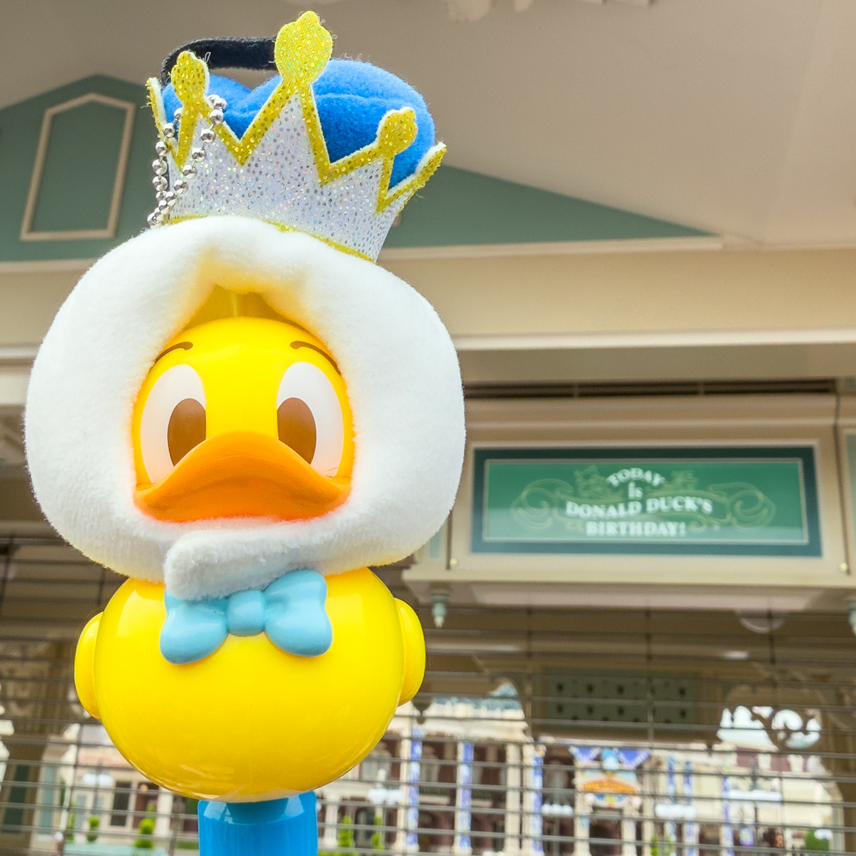 東京ディズニーランド　ドナルドのお誕生日2025