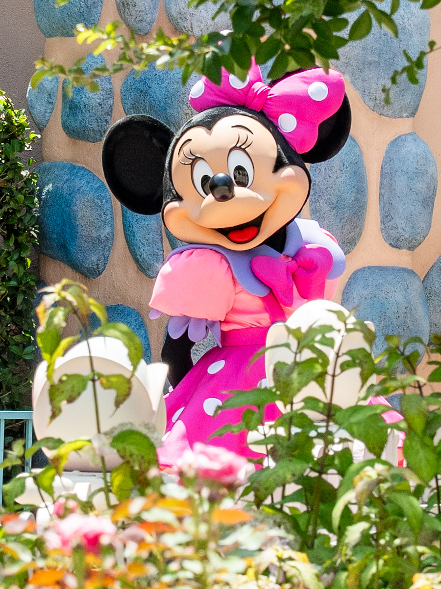 東京ディズニーランド／トゥーンタウン『ミニーの家』キャラクターグリーティング7