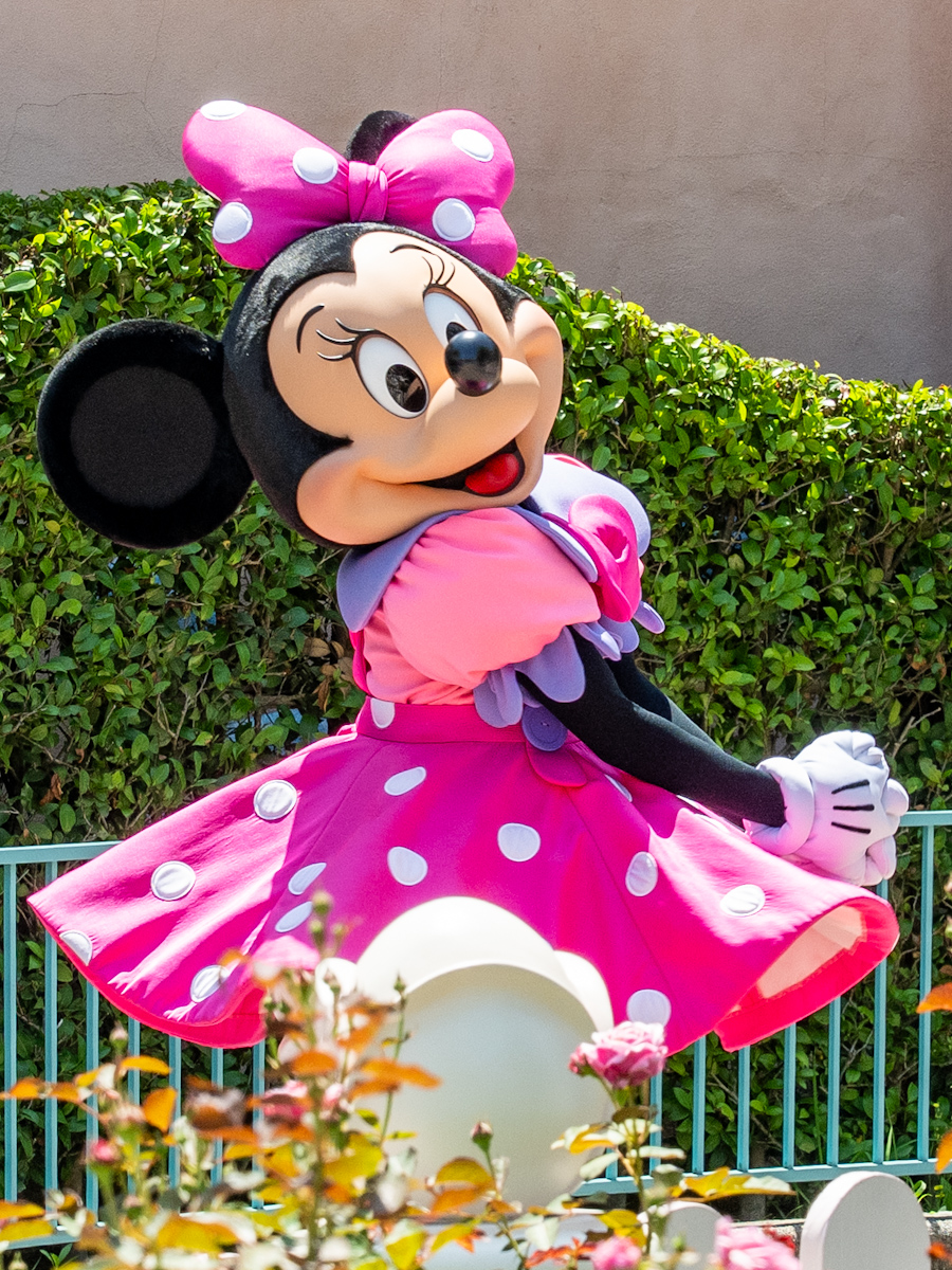 東京ディズニーランド／トゥーンタウン『ミニーの家』キャラクターグリーティング6