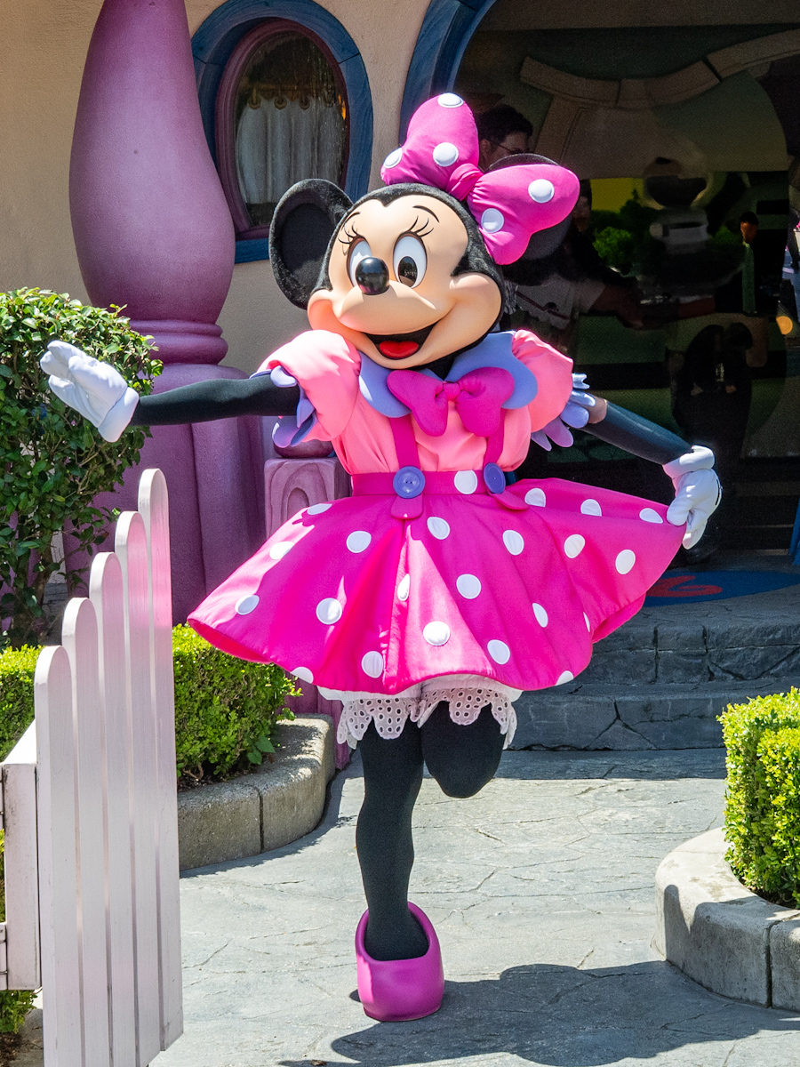 東京ディズニーランド／トゥーンタウン『ミニーの家』キャラクターグリーティング5