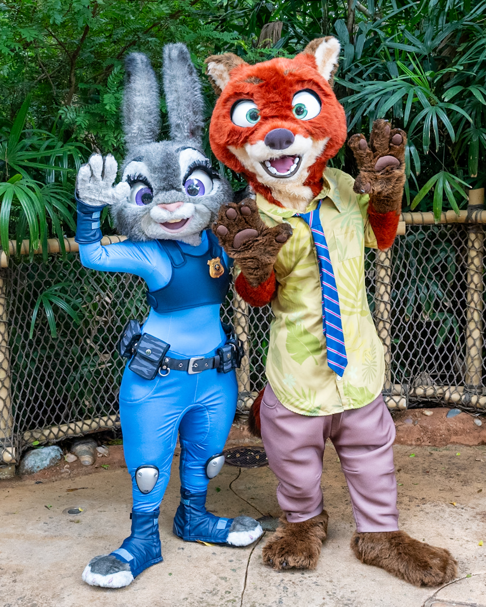 香港ディズニーランド『ズートピア』ペアグリーティング　ジュディ・ホップス