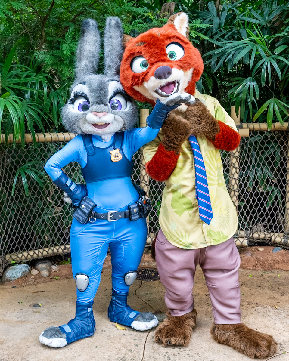 香港ディズニーランド『ズートピア』ペアグリーティング　ニック・ワイルド