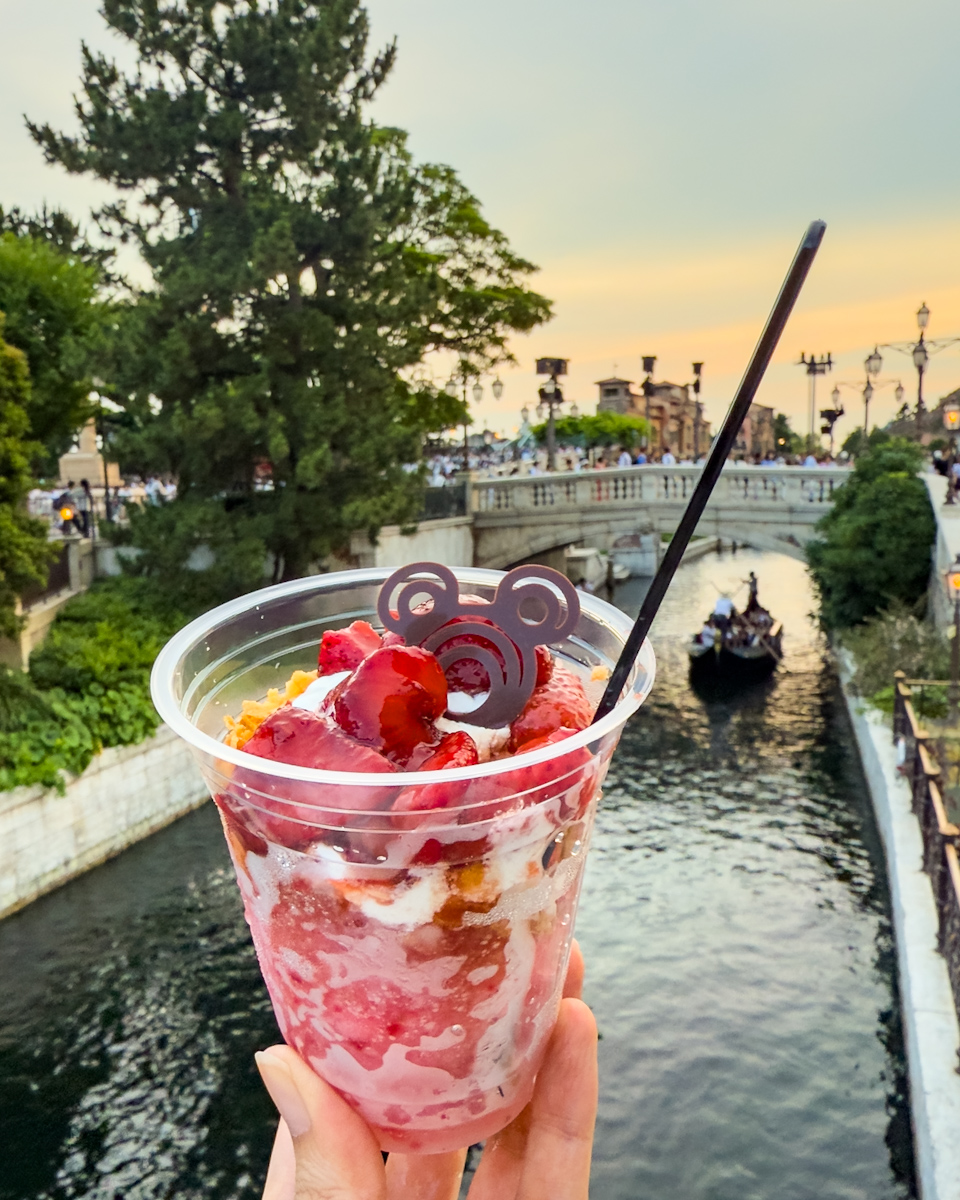 東京ディズニーシー／ゴンドリエ・スナック「ストロベリー＆バルサミコのグラニータ」　ゴンドラ