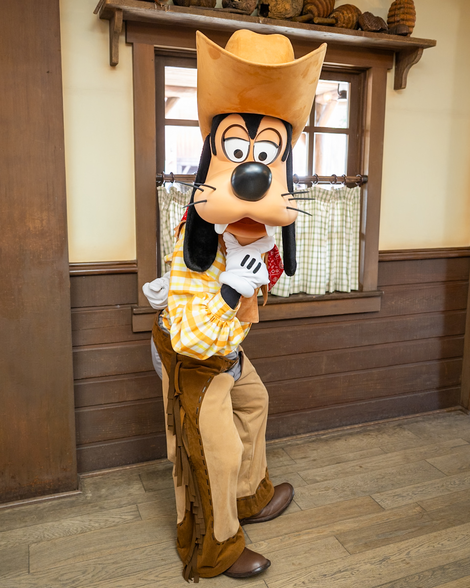 東京ディズニーランド ウエスタングーフィーグリーティング1
