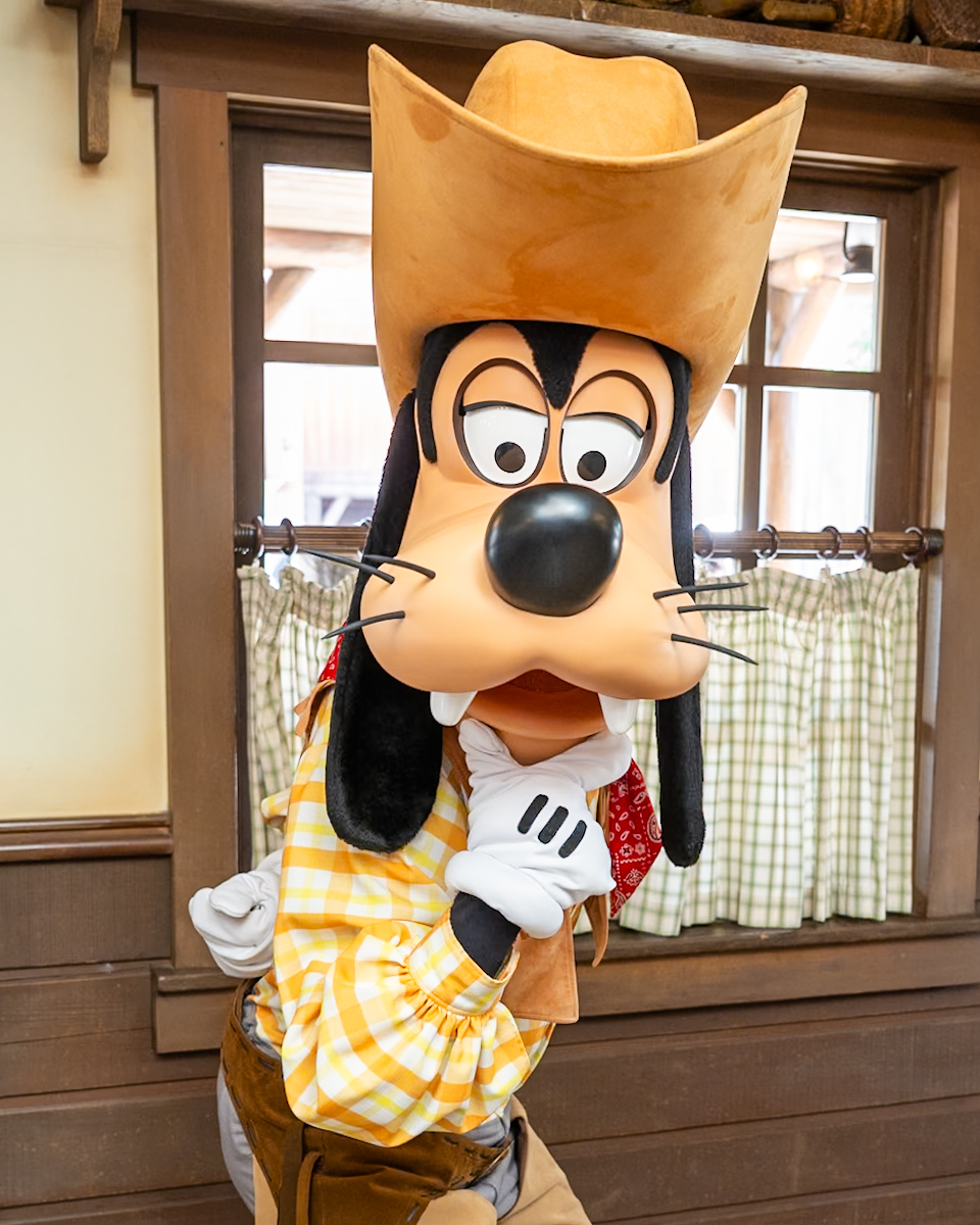 東京ディズニーランド ウエスタングーフィーグリーティング2