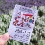 ディズニーリゾートライン／東京ディズニーシー「ドリームス・テイク・フライト」デザインフリーきっぷ