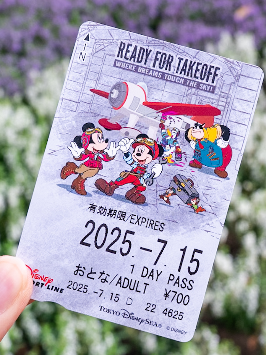 ディズニーリゾートライン／東京ディズニーシー「ドリームス・テイク・フライト」デザインフリーきっぷ1