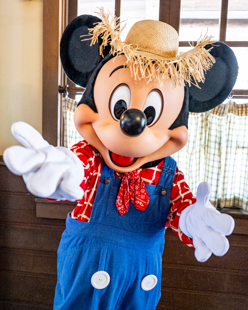 東京ディズニーランド／ウエスタンランド 農夫ミッキーグリーティング