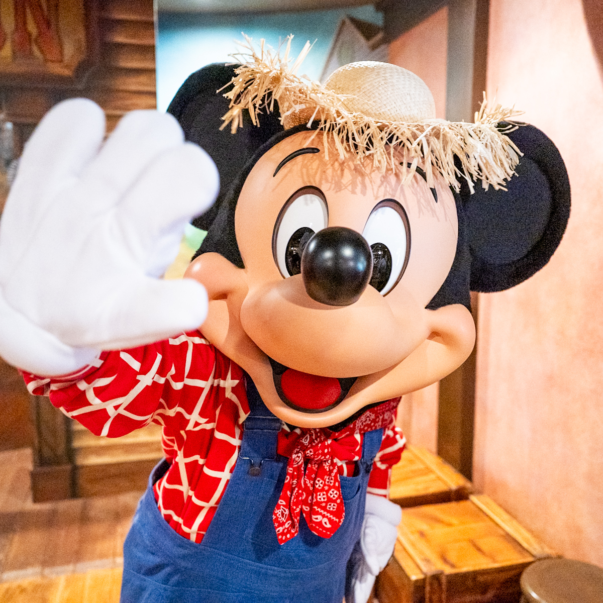 東京ディズニーランド／ウエスタンランド 農夫ミッキーグリーティング3