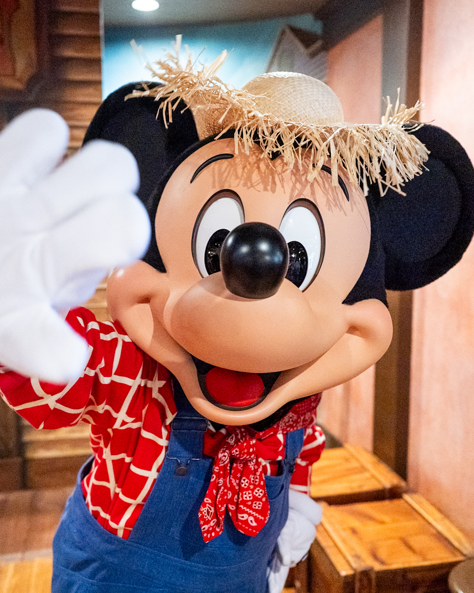 東京ディズニーランド／ウエスタンランド 農夫ミッキーグリーティング6