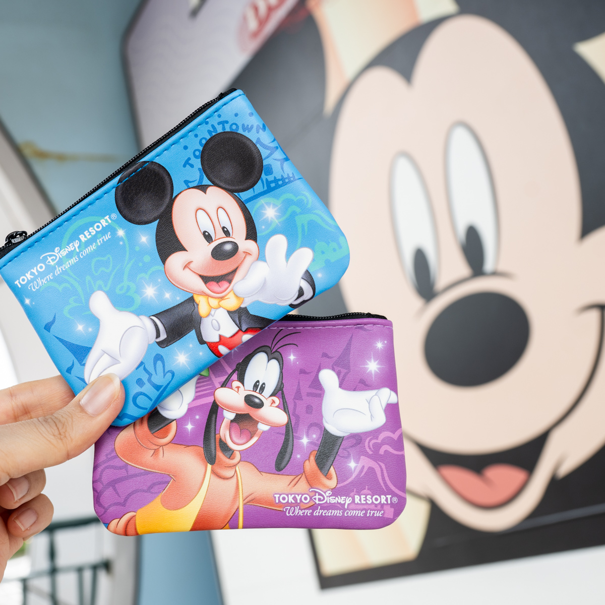 東京ディズニーランド パークチケットポーチ