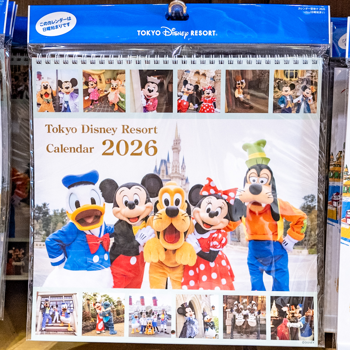 東京ディズニーリゾート壁掛けカレンダー（実写）2026