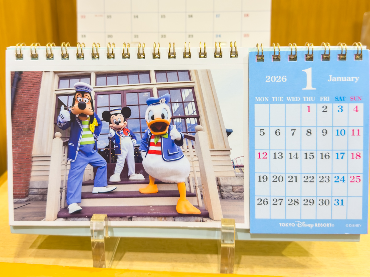 東京ディズニーリゾート卓上カレンダー（実写）2026　ポストカード