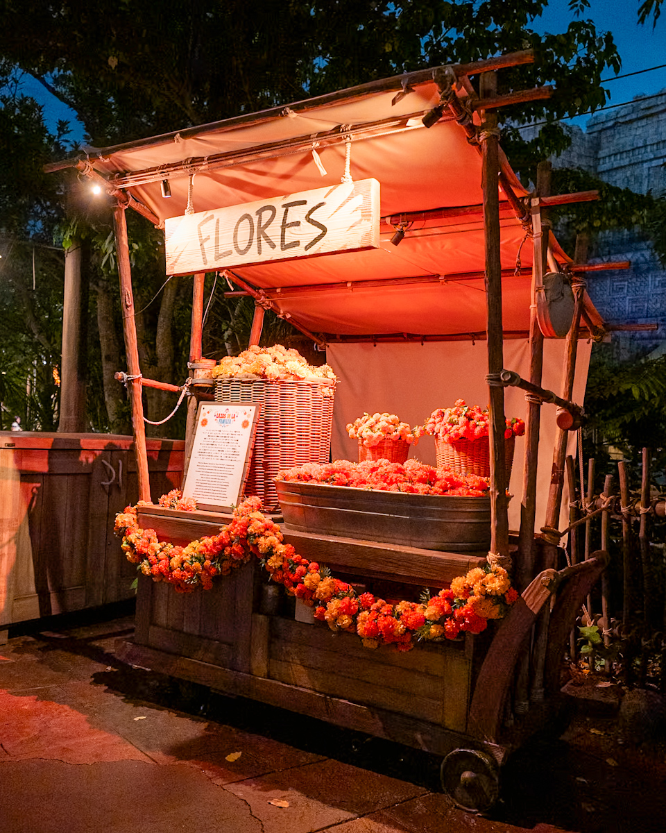東京ディズニーシー「ラソス・デ・ラ・ファミリア」 ワゴン 夜