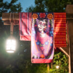 東京ディズニーシー「ラソス・デ・ラ・ファミリア」夜 イメルダバナー