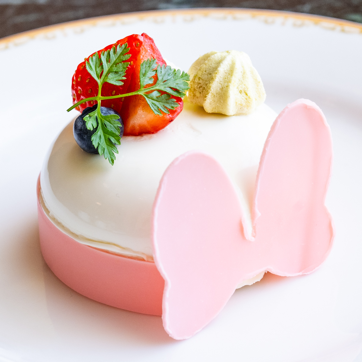 ドリーマーズ・ラウンジ　ケーキセット（チェリーとピスタチオのムース）4