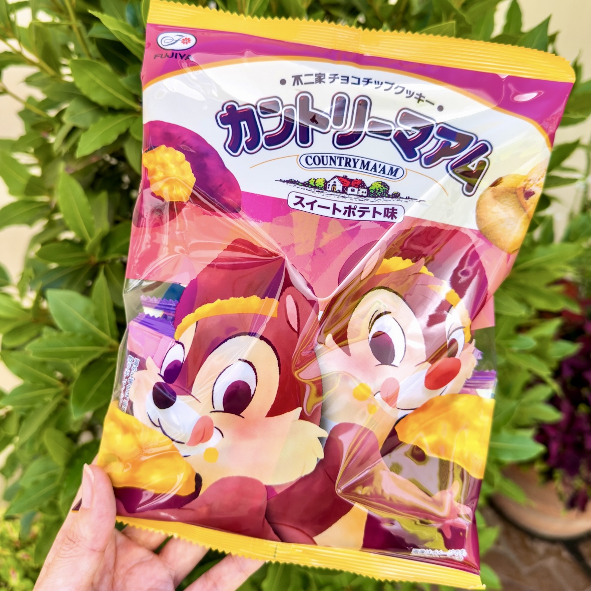 ディズニーストア【不二家】カントリーマアム チップ＆デール スイートポテト チョコチップクッキー SWEET POTATO FLAVOR　チップ＆デール