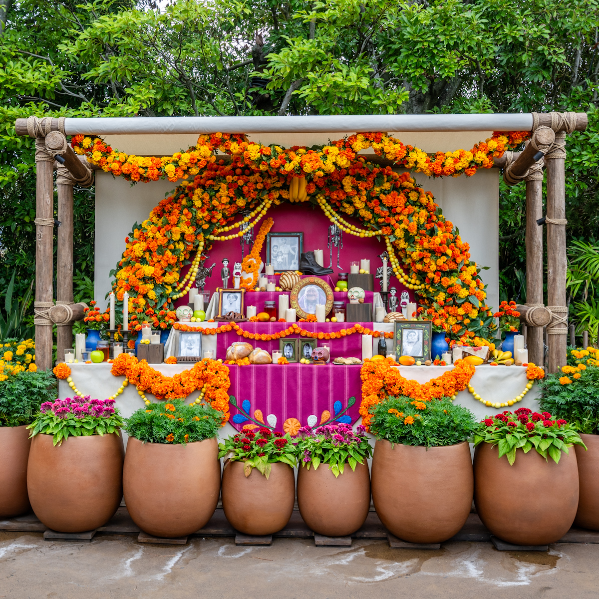 東京ディズニーシー「ラソス・デ・ラ・ファミリア」祭壇
