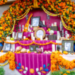 東京ディズニーシー「ラソス・デ・ラ・ファミリアデコレーション