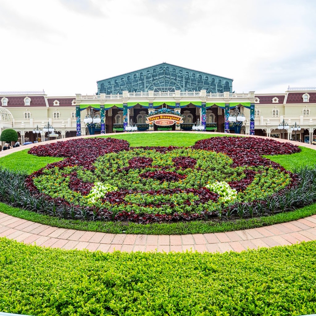 東京ディズニーランド”ディズニー・ハロウィーン2025”デコレーション　ミッキー花壇