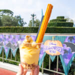 東京ディズニーランド"ディズニー・ハロウィーン2025"ハロウィーンサンデー（パンプキンソフトクリーム＆チュロス）