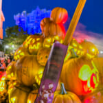 東京ディズニーリゾート"ディズニー・ハロウィーン2025"チュロス（メイプルパンプキン）