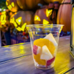 東京ディズニーシー「パパダキス・フレッシュフルーツ」フレッシュフルーツカップ