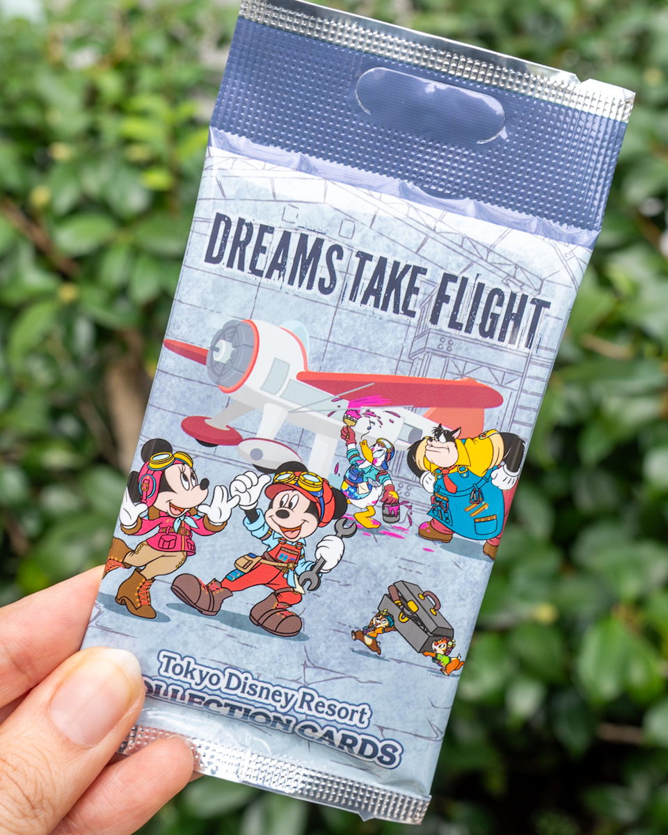 ドリームステイクフライトコレクションカード