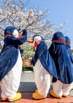 お花見ペンギン・ウェイター1