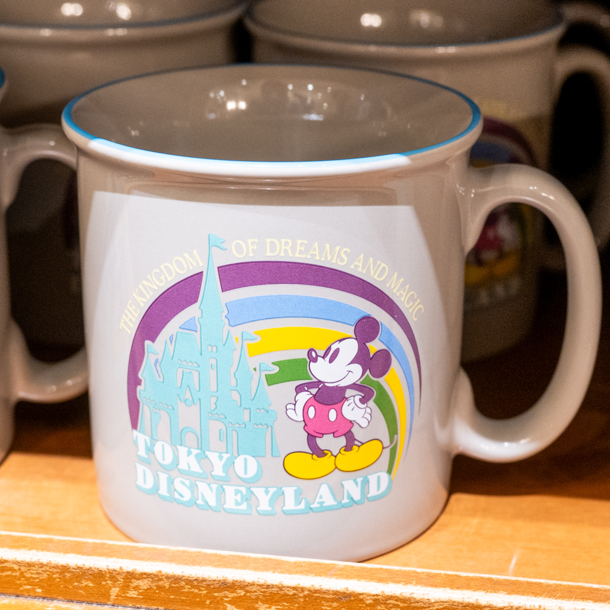 シンデレラ城とミッキーデザイン！東京ディズニーランド