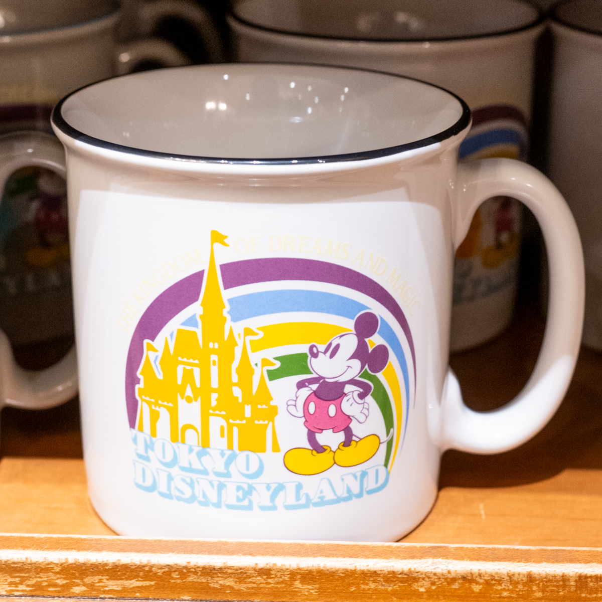 東京ディズニーランド　マグカップ　プラ　シンデレラ城　1983 1984 貴重 東京ディズニーランド マグカップ プラ シンデレラ城 1983 1984