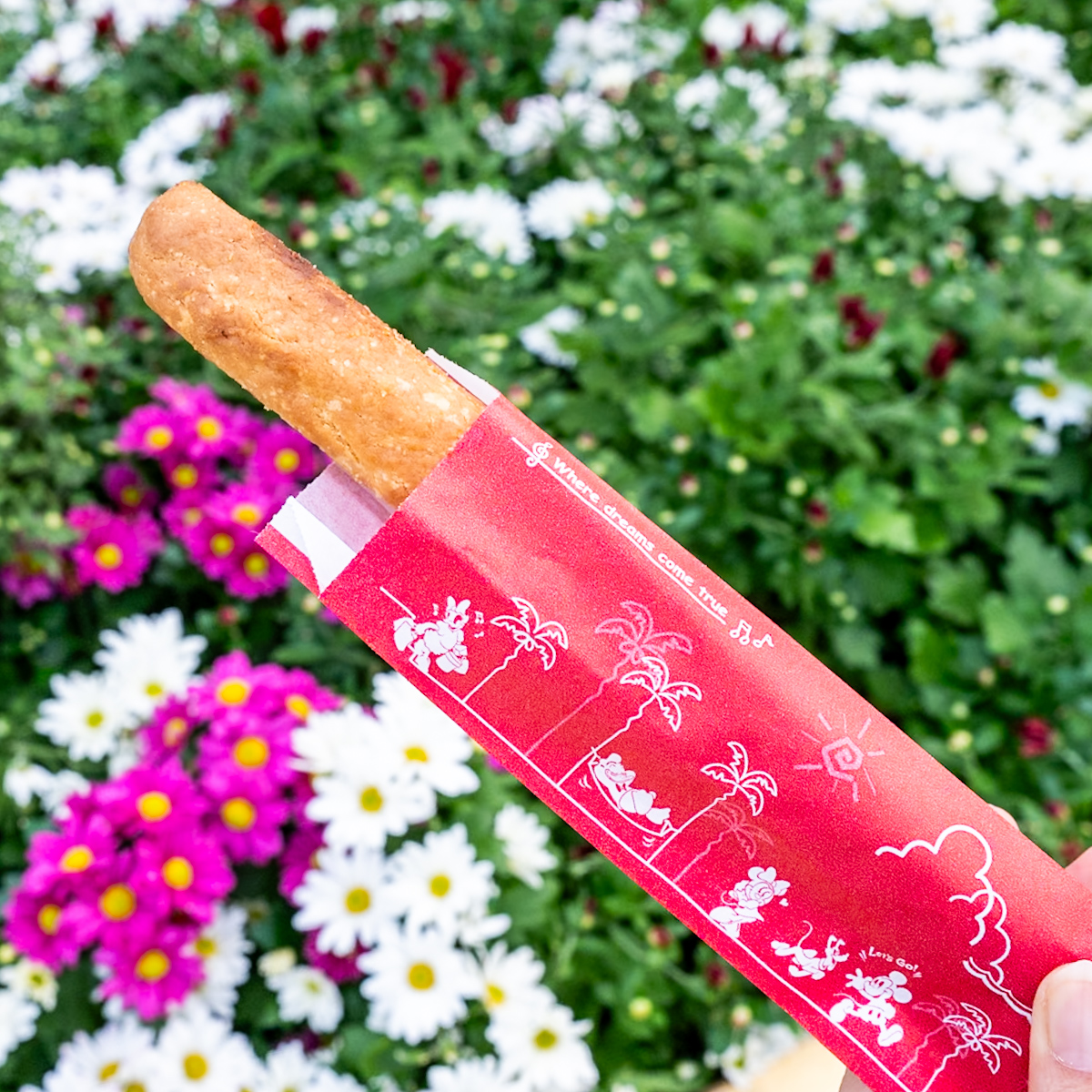 ティポトルタ（チョコレート＆オレンジ）