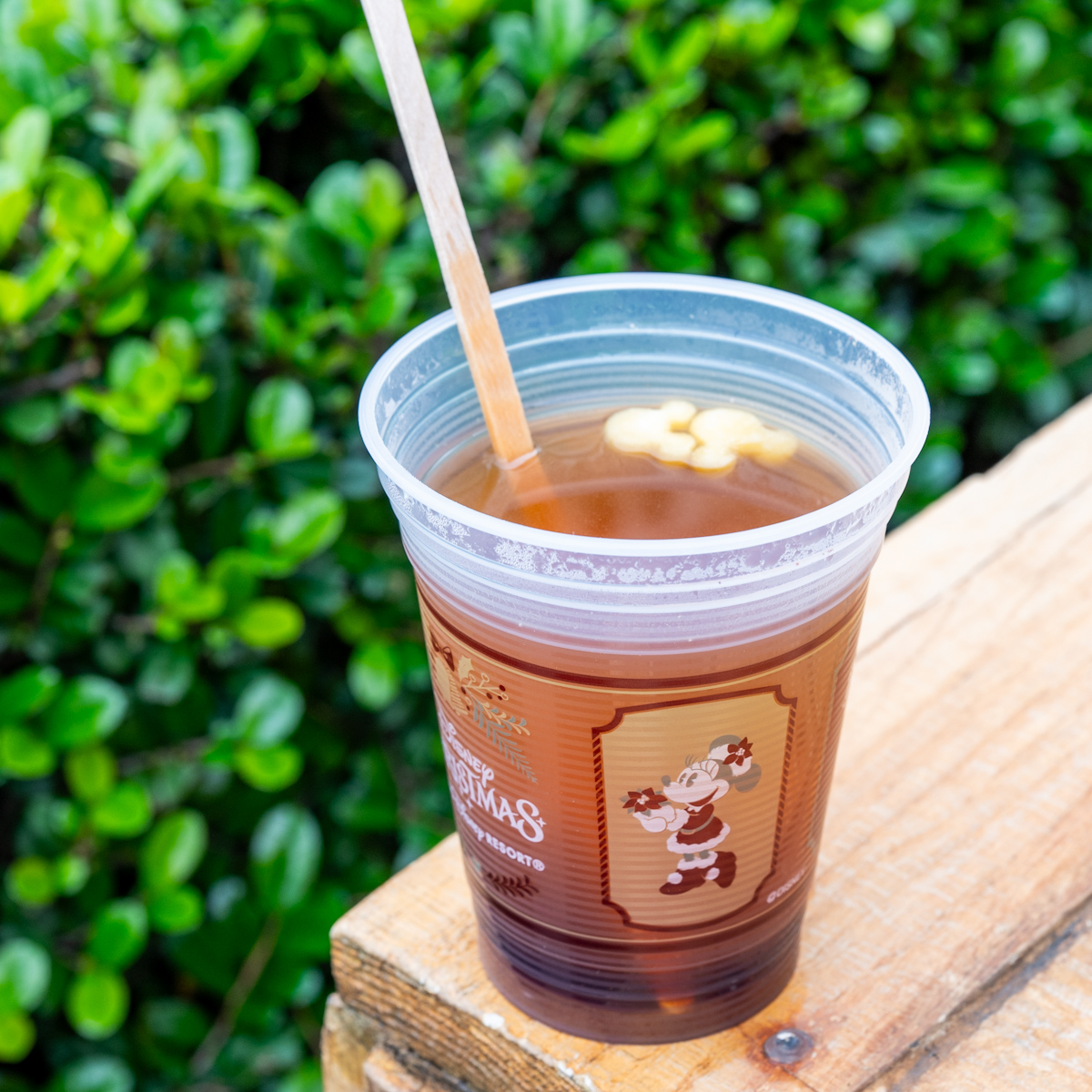 東京ディズニーランド”ディズニー・クリスマス2025”ホットアップルジンジャードリンク