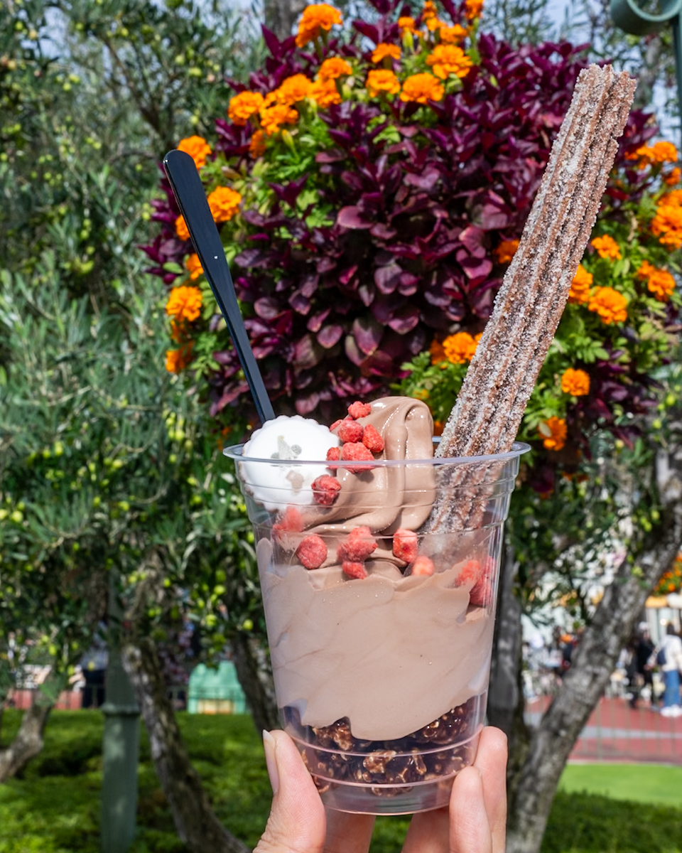 東京ディズニーランド”ディズニー・クリスマス2025”スペシャルサンデー（チョコレートソフトクリーム＆チュロス）紹介