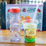 東京ディズニーシー「ダッフィー&フレンズのシークレット・オブ・スノーウィーデイ」スーベニアドリンクボトル