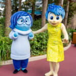 東京ディズニーシー『インサイド・ヘッド』ヨロコビ、カナシミグリーティング