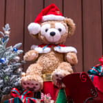 ぬいぐるみコスチューム（サンタ帽＆ケープ）