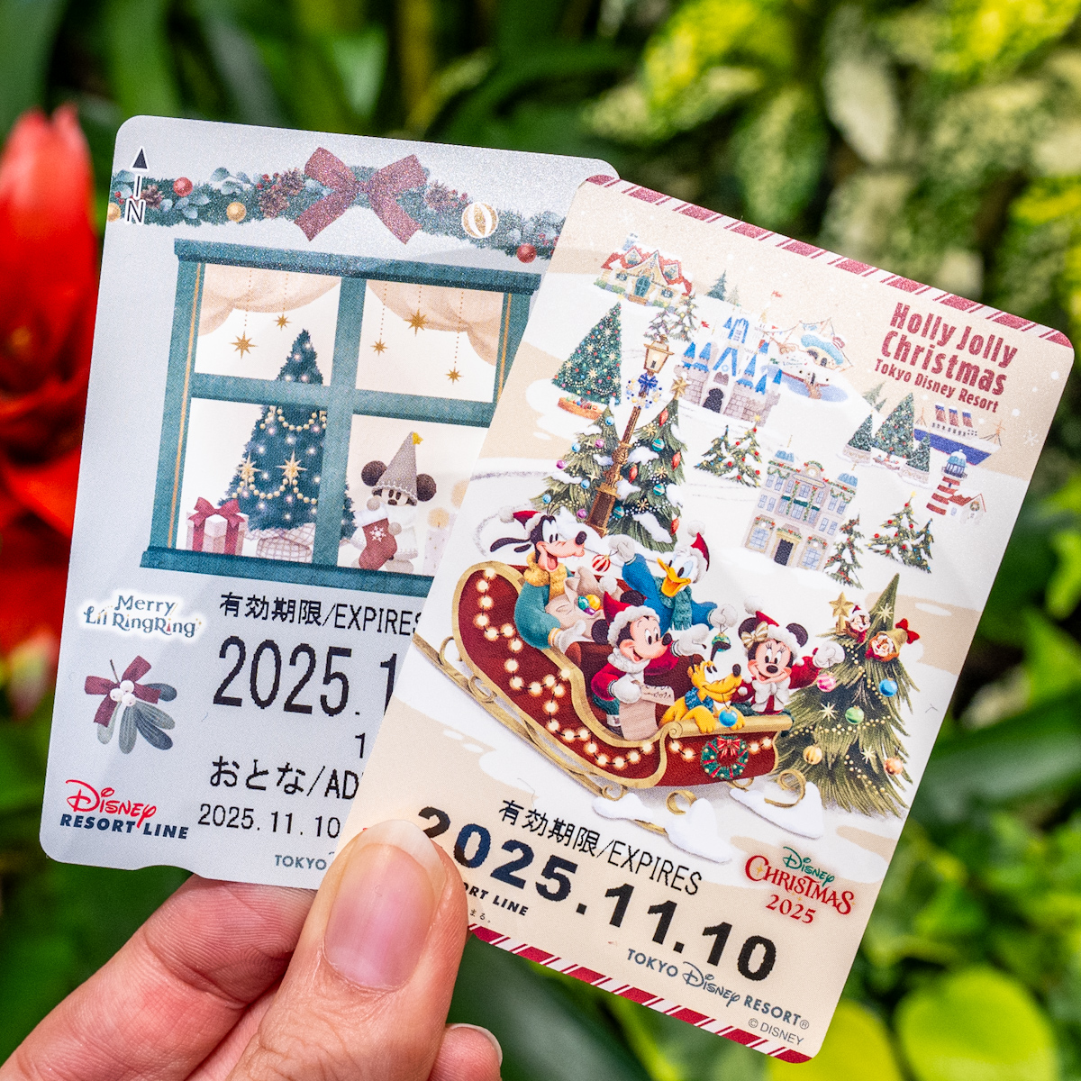 ディズニーリゾートライン“ディズニー・クリスマス2025”フリーきっぷ