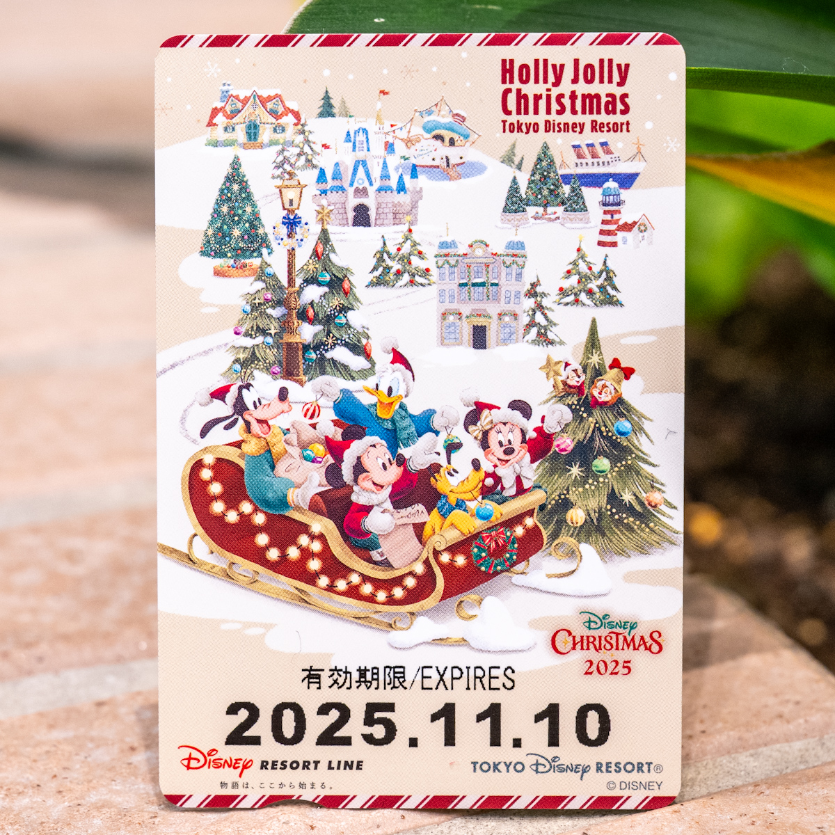 ディズニーリゾートライン“ディズニー・クリスマス2025”フリーきっぷ1