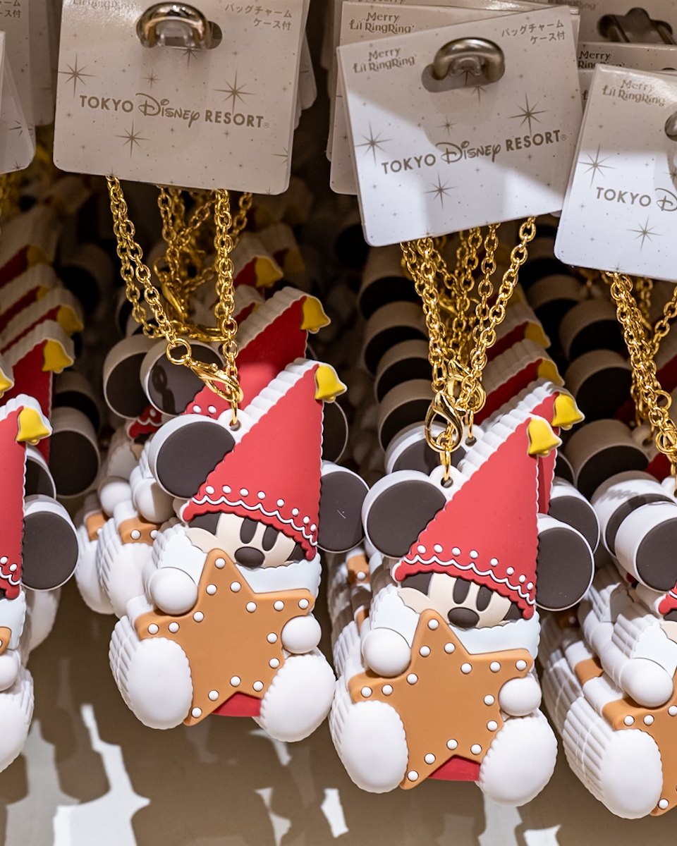 バッグチャーム　ケース付き、