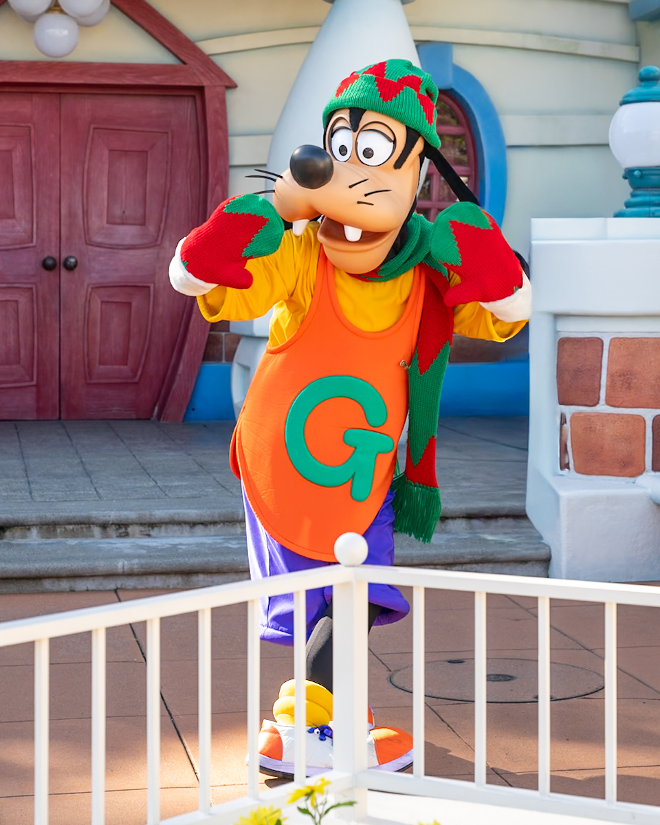 トゥーンタウングーフィー