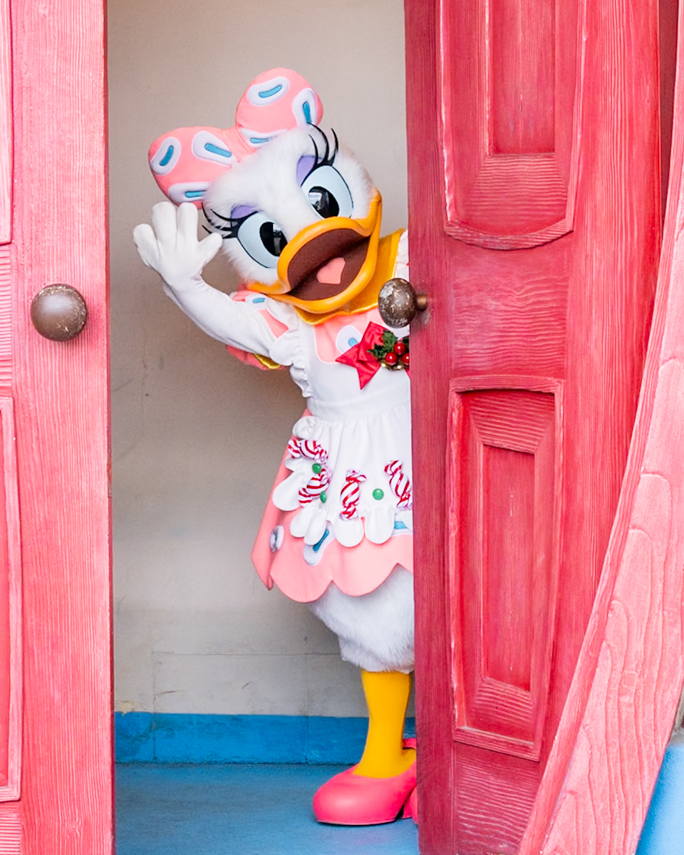 デイジーダック トゥーンタウン