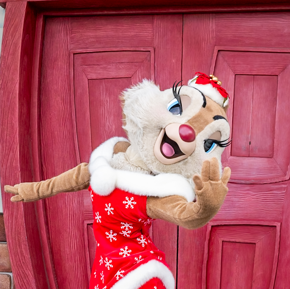 東京ディズニーランド／トゥーンタウン”ディズニー・クリスマス2025” キャラクターグリーティング