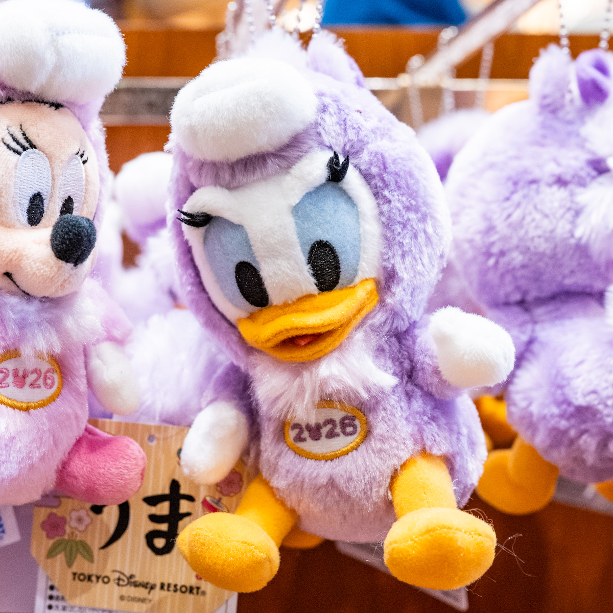 東京ディズニーリゾートのお正月 干支ぬいぐるみバッジ デイジー