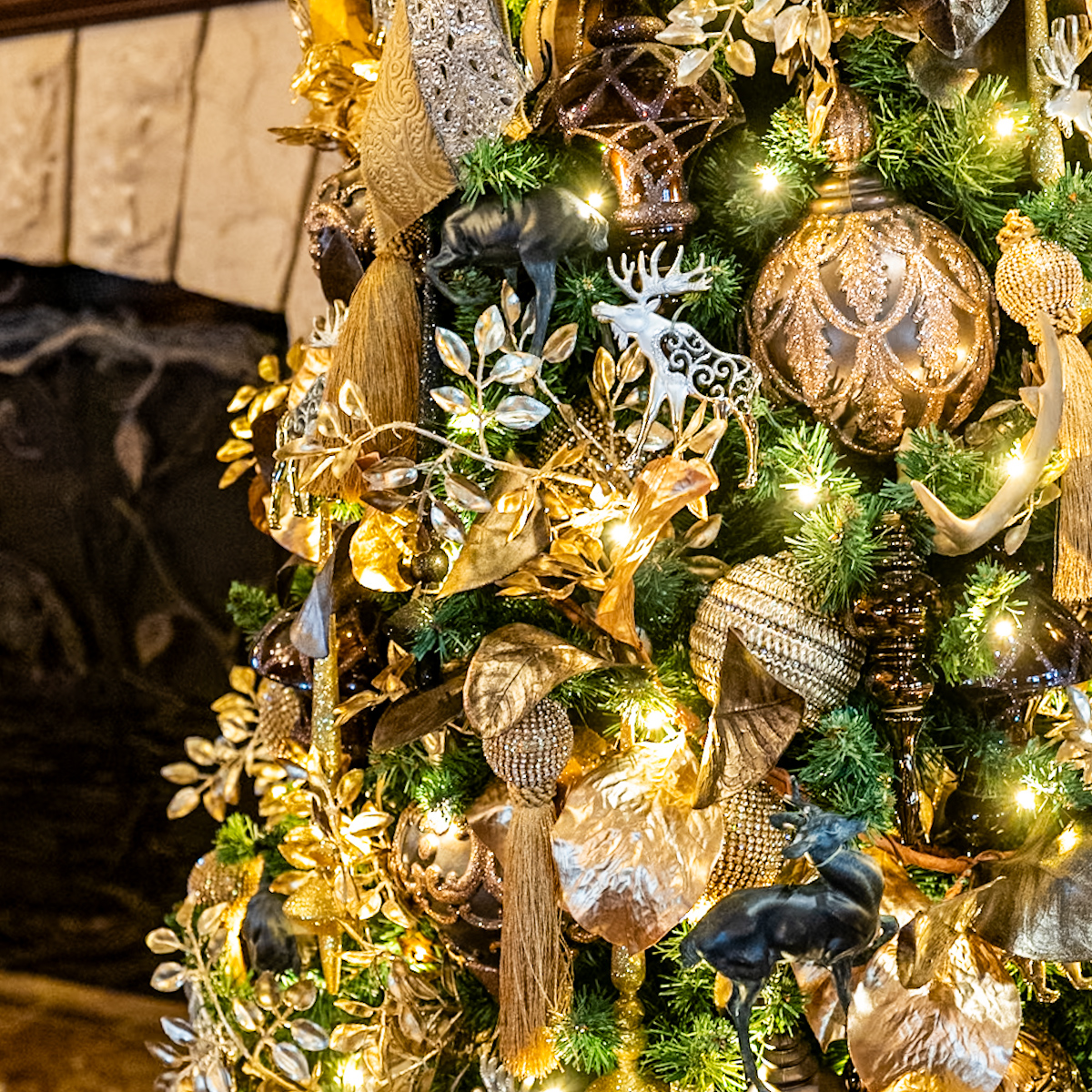 東京ディズニーシー「テディ・ルーズヴェルト・ラウンジ」装飾