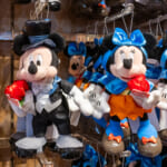東京ディズニーランド ミッキーマウス＆ミニーマウスお誕生日グッズ2025