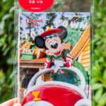 トイズ・ワンダラス・クリスマス写真セット