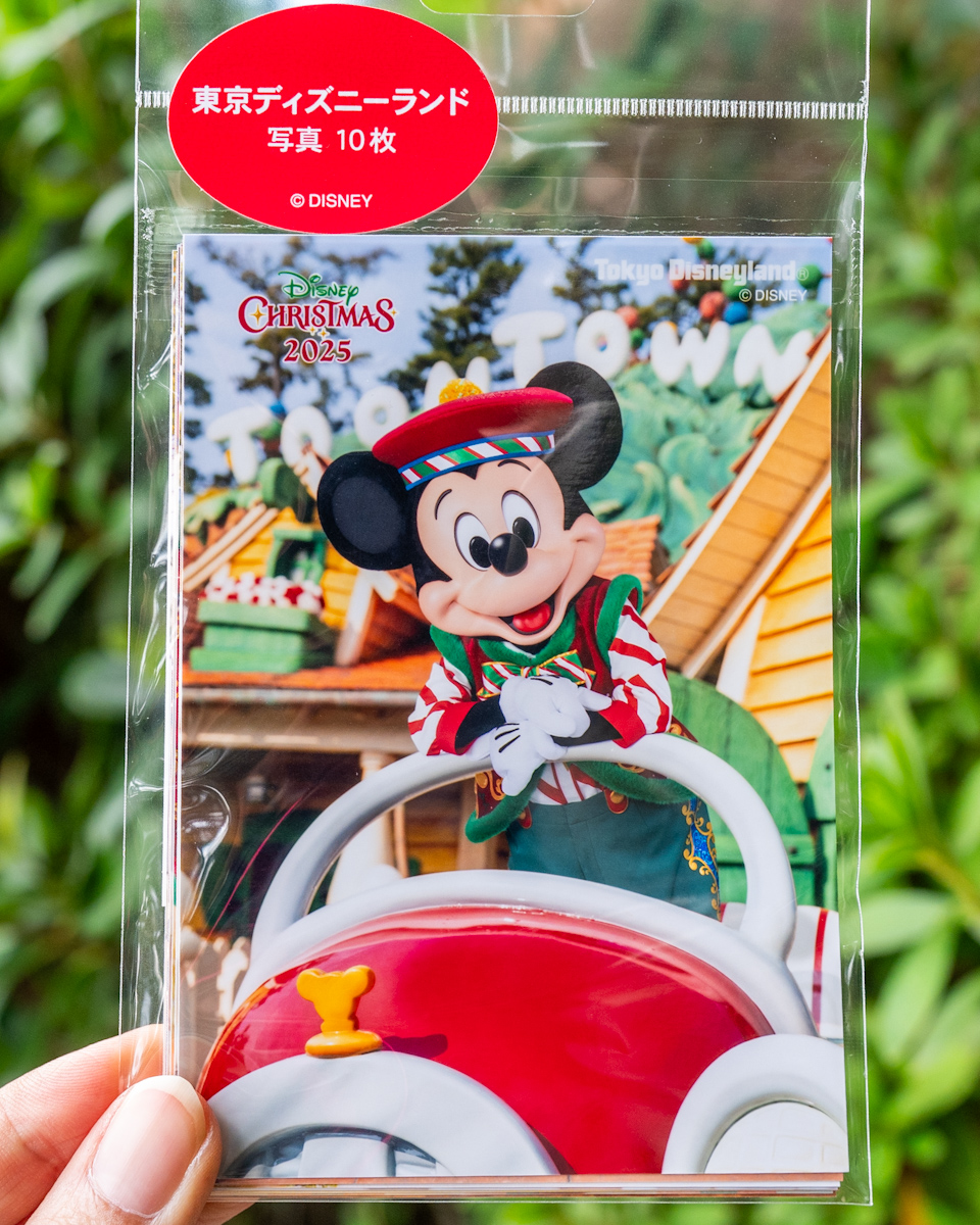 ぬいぐるみバッジ、リングセット！東京ディズニーリゾート