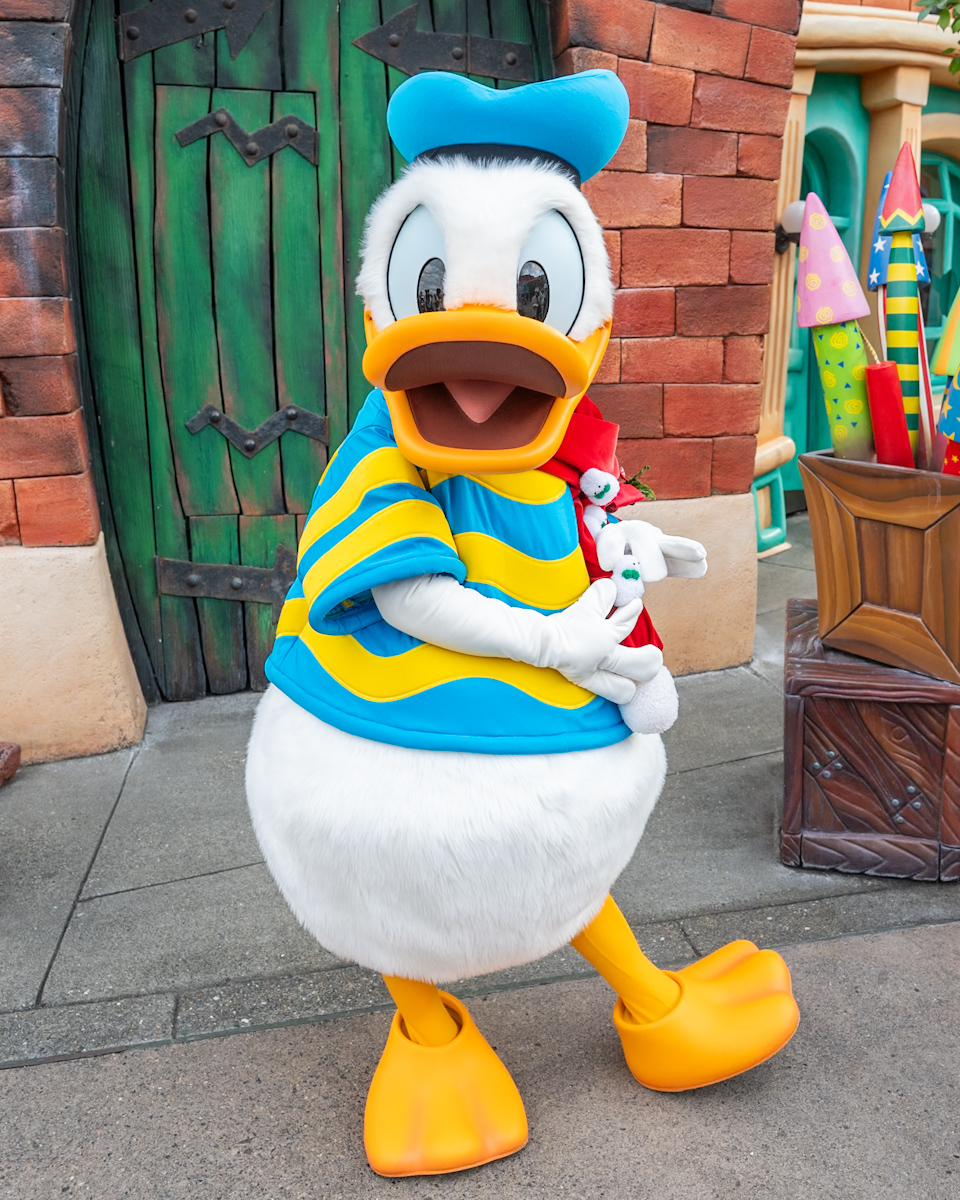 トゥーンタウンドナルドダック(クリスマス)